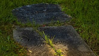 Lost Cemetery Discovered Near Detroit Home