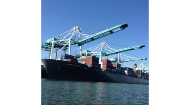 Kotek Proposed $40 Million For Container Service