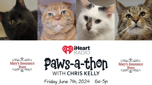 iHeartRADIO Paws-A-Thon for HSRC