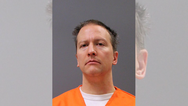 Derek Chauvin Used 'Signature Pose', Knelt On Woman During Arrest: Lawsuit