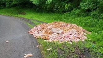 Video: Massive Mound of Meat Mysteriously Dumped on Side of Ohio Road