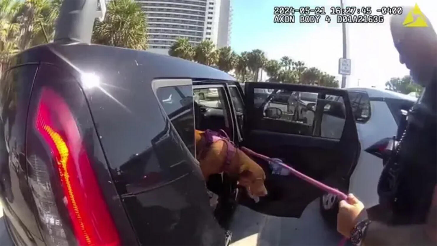 Police Rescue a dog from a hot car