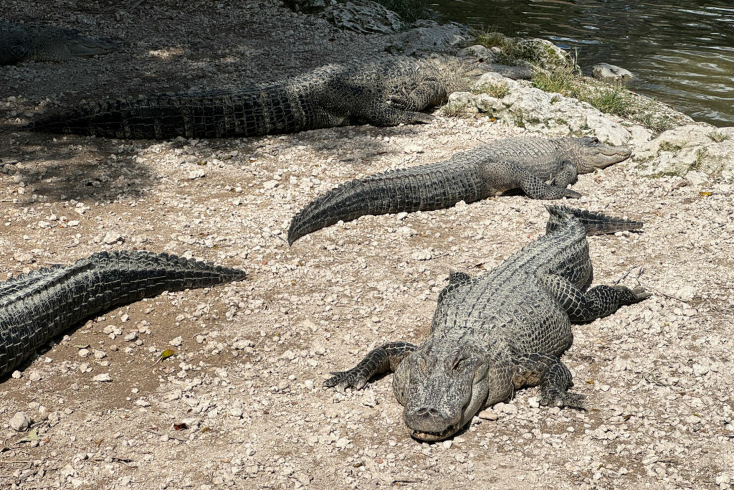 Everglades National Park