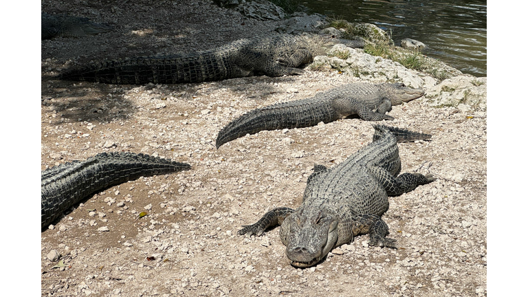 Everglades National Park