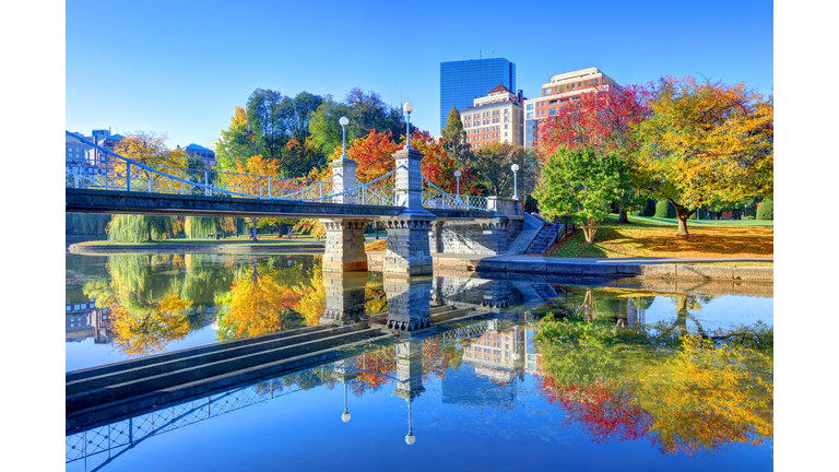 Autumn in the Boston Public Garden