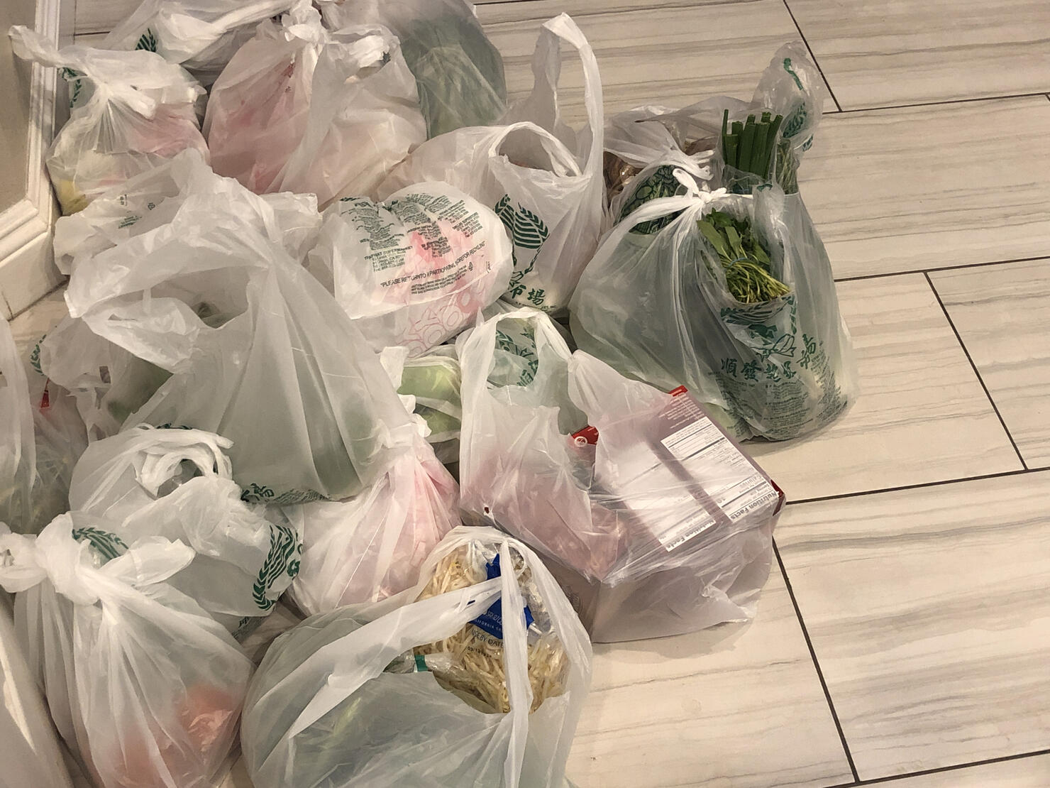 Plastic grocery bags
