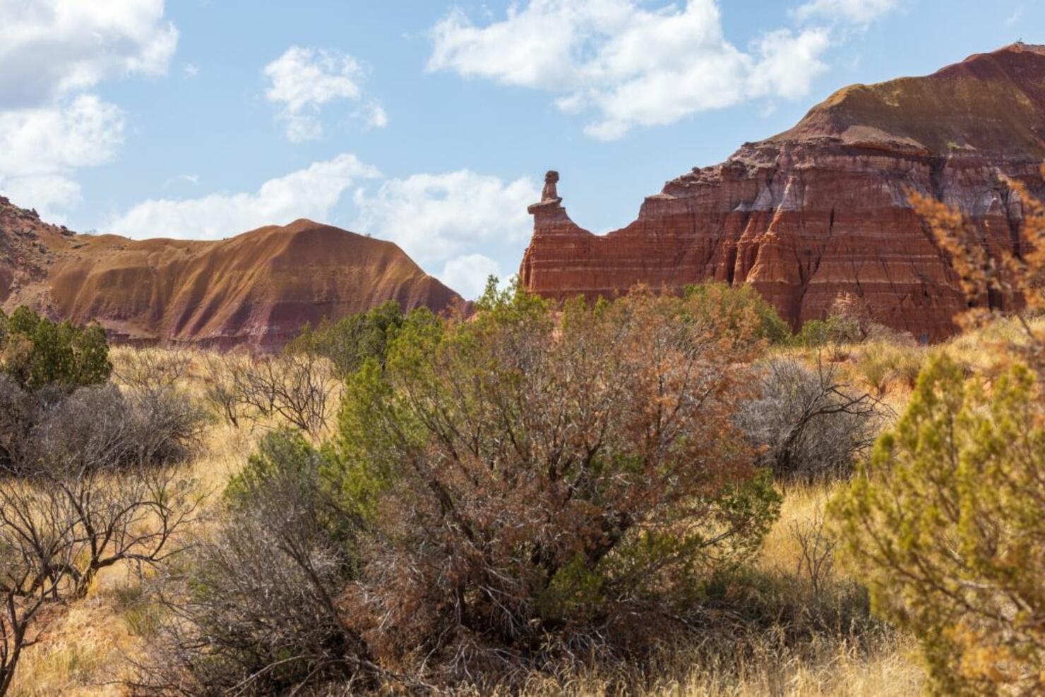 The Lighthouse rock hoodoo behind a field of grass and shrubs at Palo Duro Canyon State Park near Amarillo, Texas
