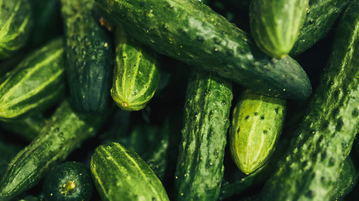 Cucumbers, Eggs Recalled in Dozens of States Over Salmonella Concerns