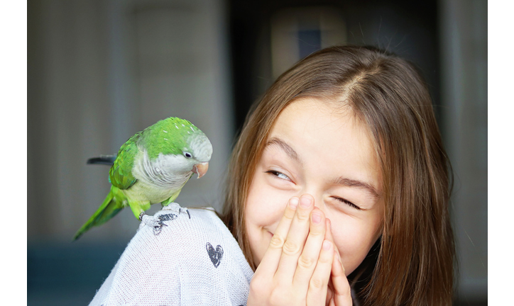 Cute smiling girl playing with her pet green Monk Parakeet parrot. who is sitting on her shoulder. Quaker parrot bird owner. Exotic pet.