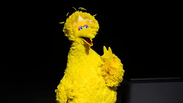 The Truth About Big Bird Comes Out, Leaving 'Sesame Street' Fans Shocked