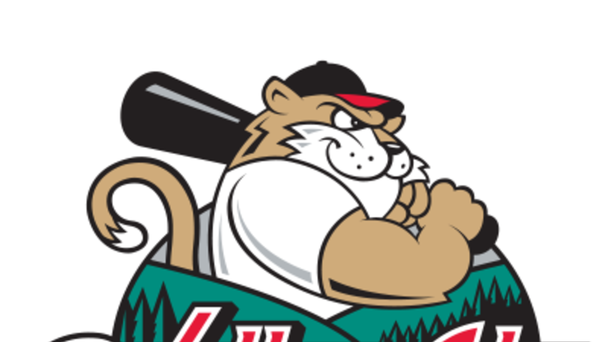 Wednesday's Insanely Easy Trivia For A 4-Pack of Valleycats Tix!