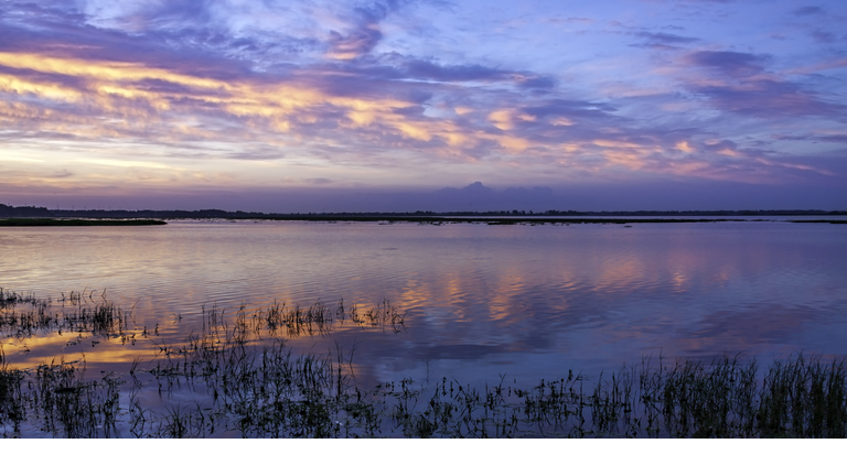 Amazing Dawn colors flow over Lake Tohopekaliga - known as one of the best Bass Fishing Lakes in the USA - located in Kissimmee, Florida