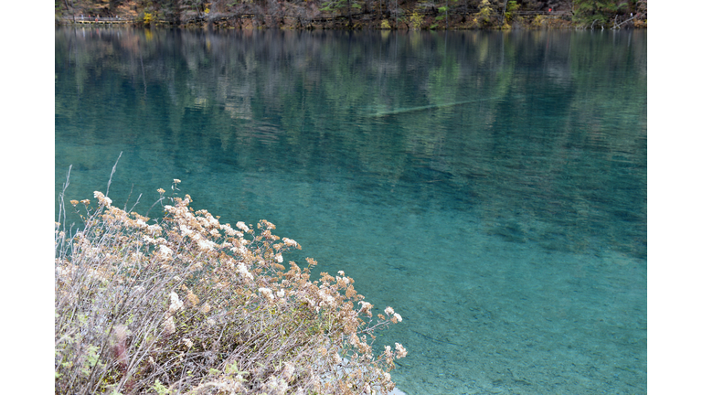 Five Flower Lake, Jiuzhaigou Valley