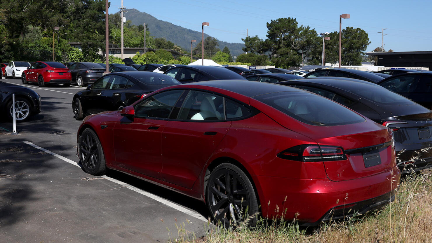 Tesla Issues Recall For Over 100,000 Vehicles Over Seat Belt Warning System