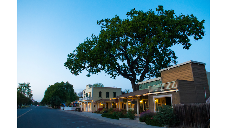 Evening sky, gigantic tree in the town Los Olivos.