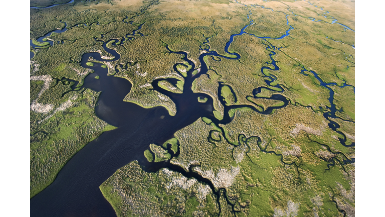 Aerial view of Florida Everglades