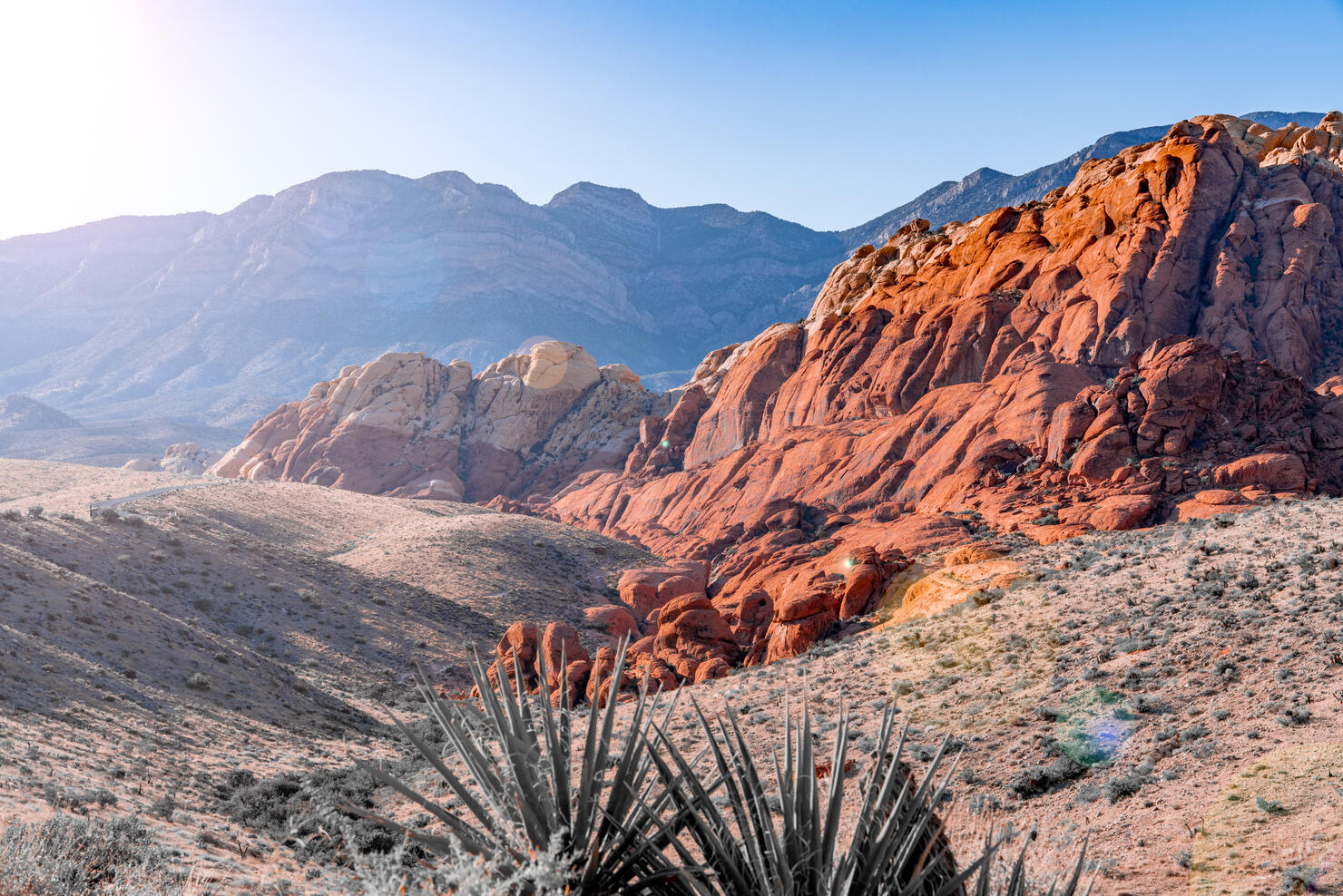 Red rock canyon sunshine
