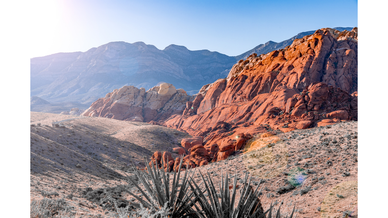 Red rock canyon sunshine