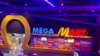 Meow Wolf: Experience The Multidimensional Reality of Omega Mart