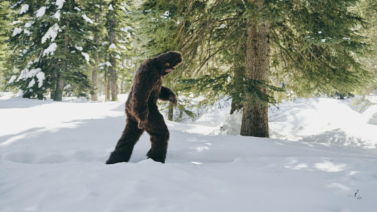 Teens Rescued From Bigfoot-Like Creature With 'Glowing Eyes' | iHeart