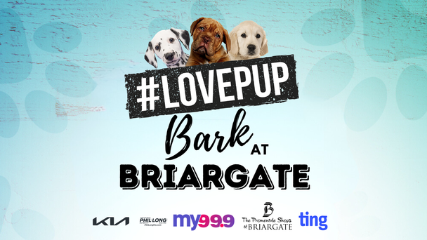 LovePup Bark at Briargate