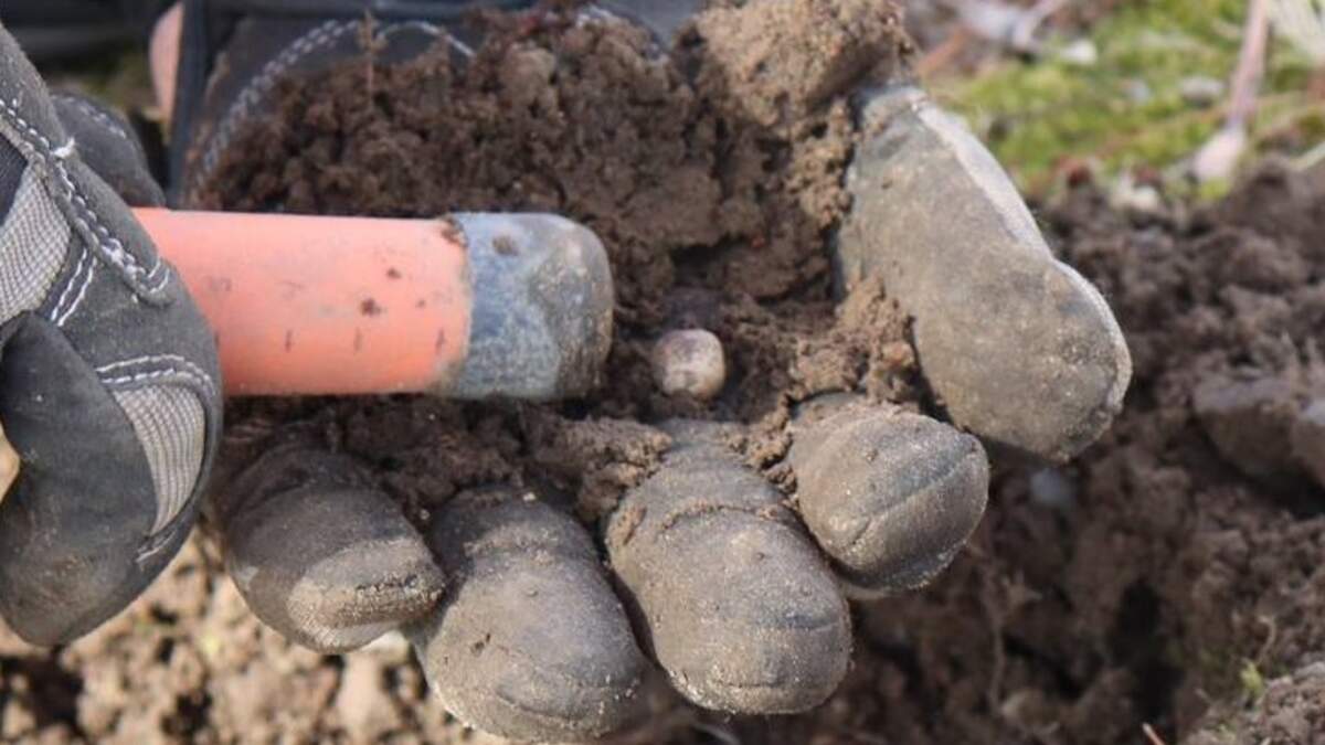 Musket Balls From First Revolutionary War Battle Unearthed in ...