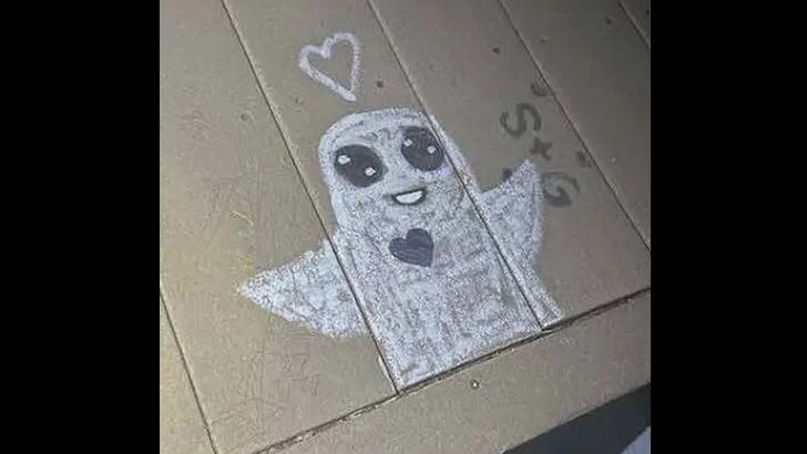 Cops Bust Alleged 'Ghost Vandal' in Florida