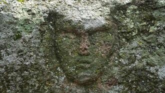 Mysterious Stone Face Found Carved on Boulder in Kazakhstan