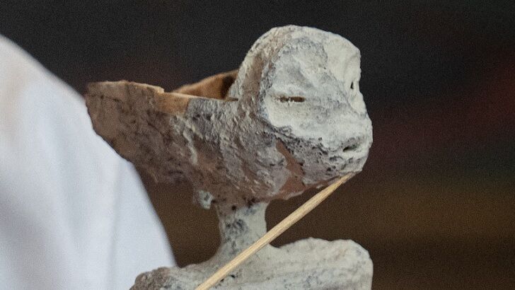 Peculiar Piece of Metal Found During Dissection of Hand From 'Alien Body' 