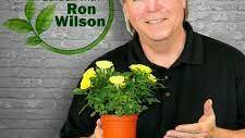 Ron Wilson Plants of the Week