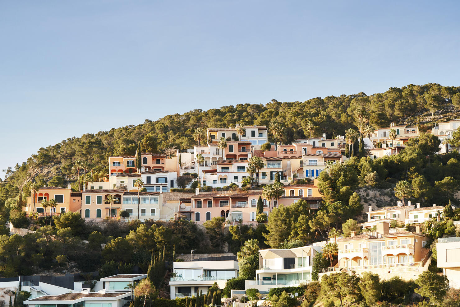 Residential buildings on a hill surrounded by trees
