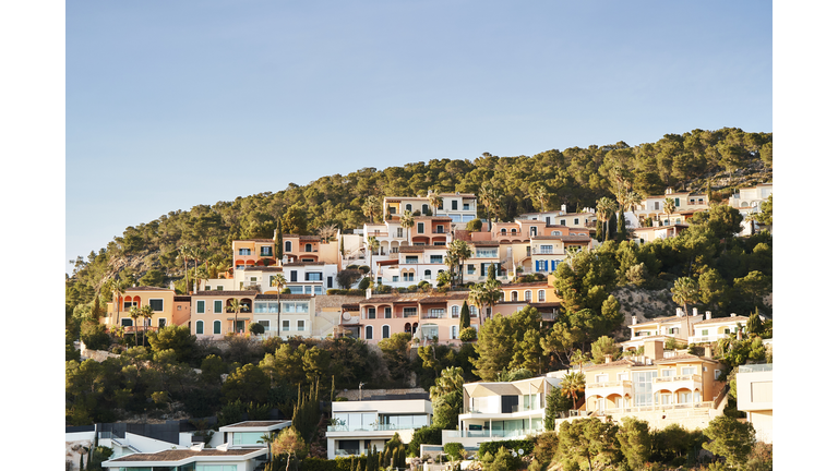 Residential buildings on a hill surrounded by trees