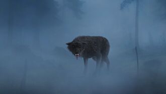 Watch: Weird 'Mystery Creature' Filmed in Argentina