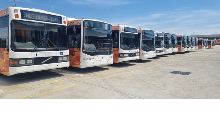 A Line of Busses Wait For Their Next Job