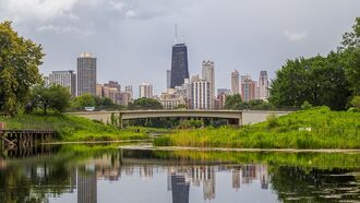 Video: 'Mystery Creature' Spotted in Chicago Pond