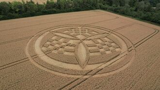 Video: British Cops Investigating Costly Crop Circle