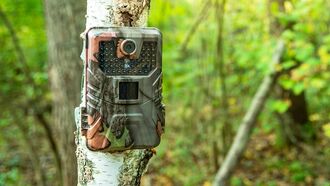 Bigfoot Photographed by Game Camera in Missouri? 