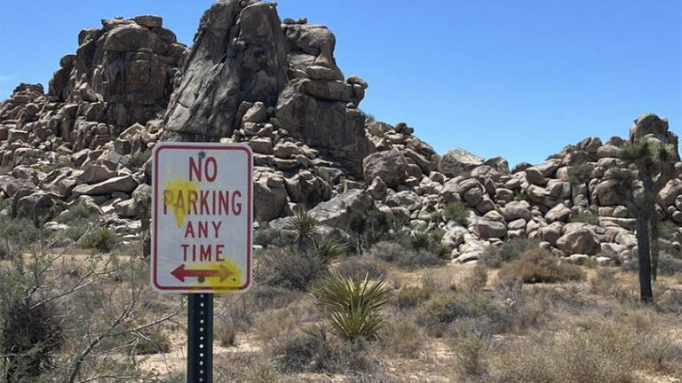A road sign shot with paintballs at Jumbo Rocks Campground