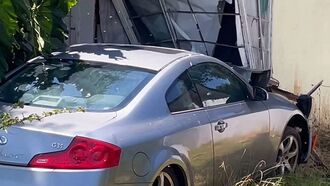 Video: Swarm of Angry Bees Attack Motorist Who Crashed Car into California Home