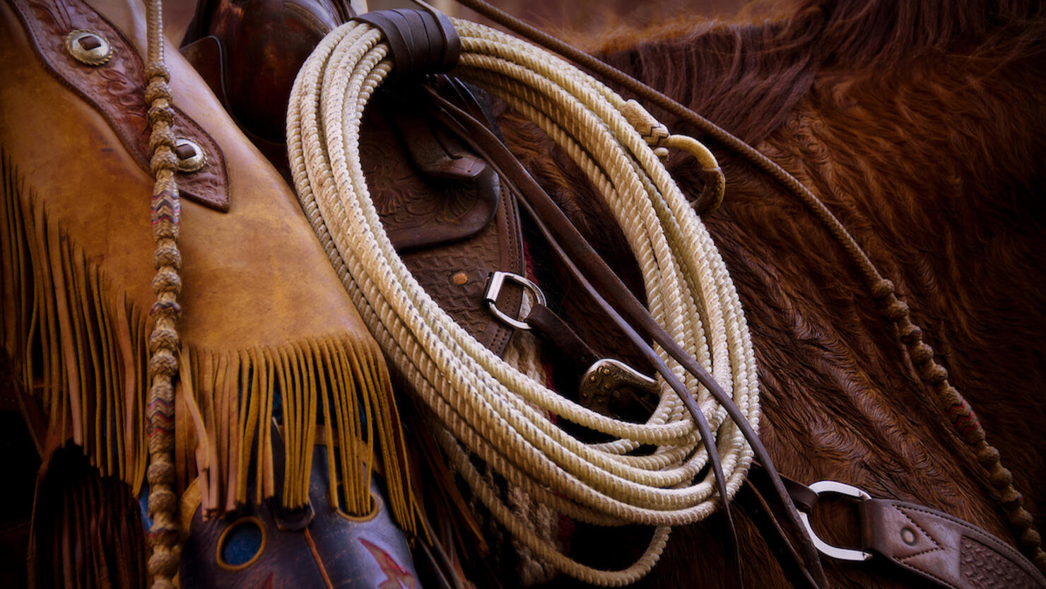 Cowboy 3
