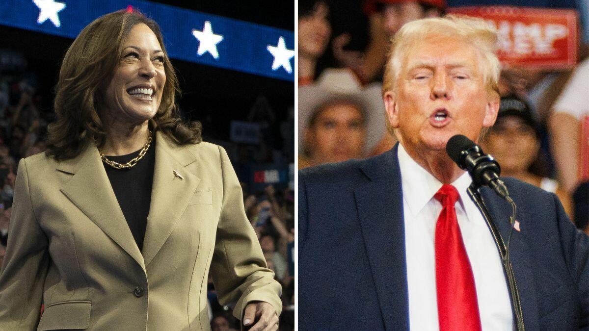 New Poll Shows Tight Race Between Harris, Trump In Swing States ...