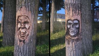 Video: Canadian Man Arrested for Allegedly Carving Remarkably Detailed Faces into Trees