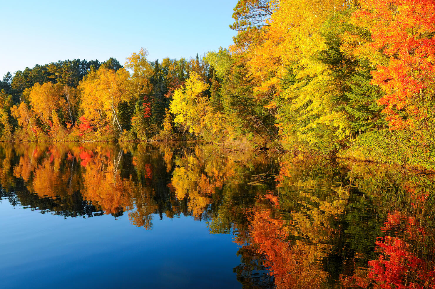 Autumn reflection