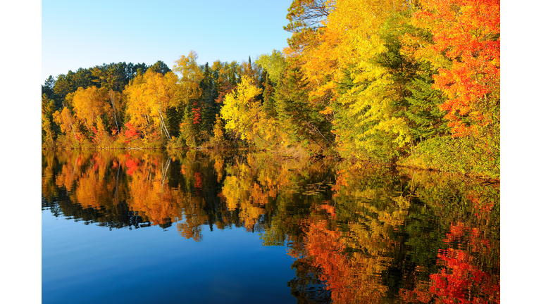 Autumn reflection