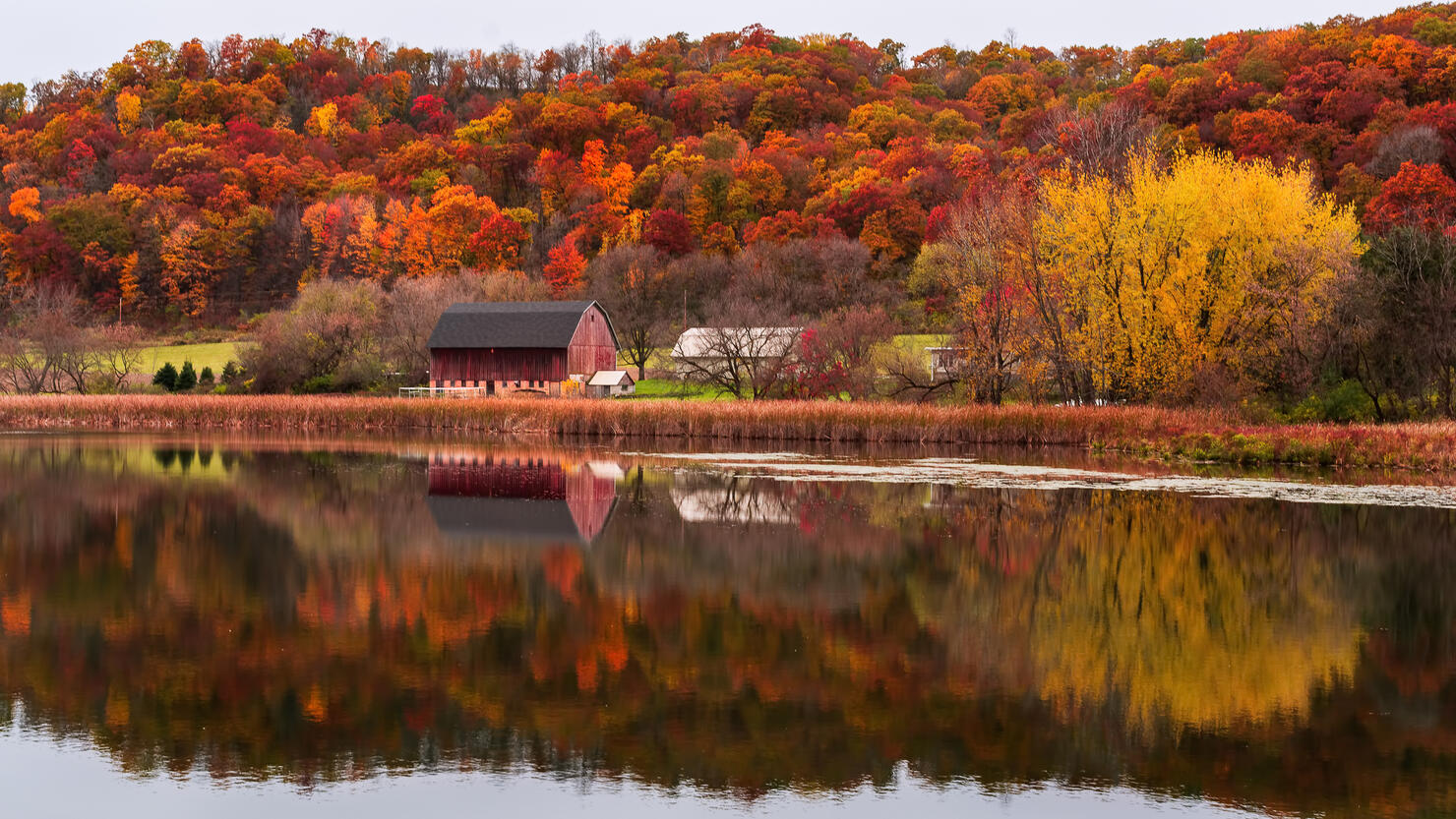 Red Barn And Forest In Autumn Colors, Minneapolis, Minnesota, United States