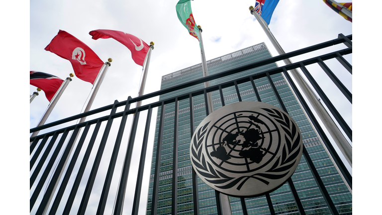 Emblem of United Nations with UN member country flags and Secretariat Building in the background