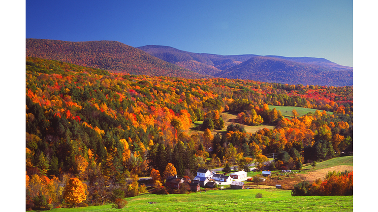 Autumn Colors