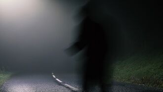 Eerie Figure Photographed on Side of Michigan Road?