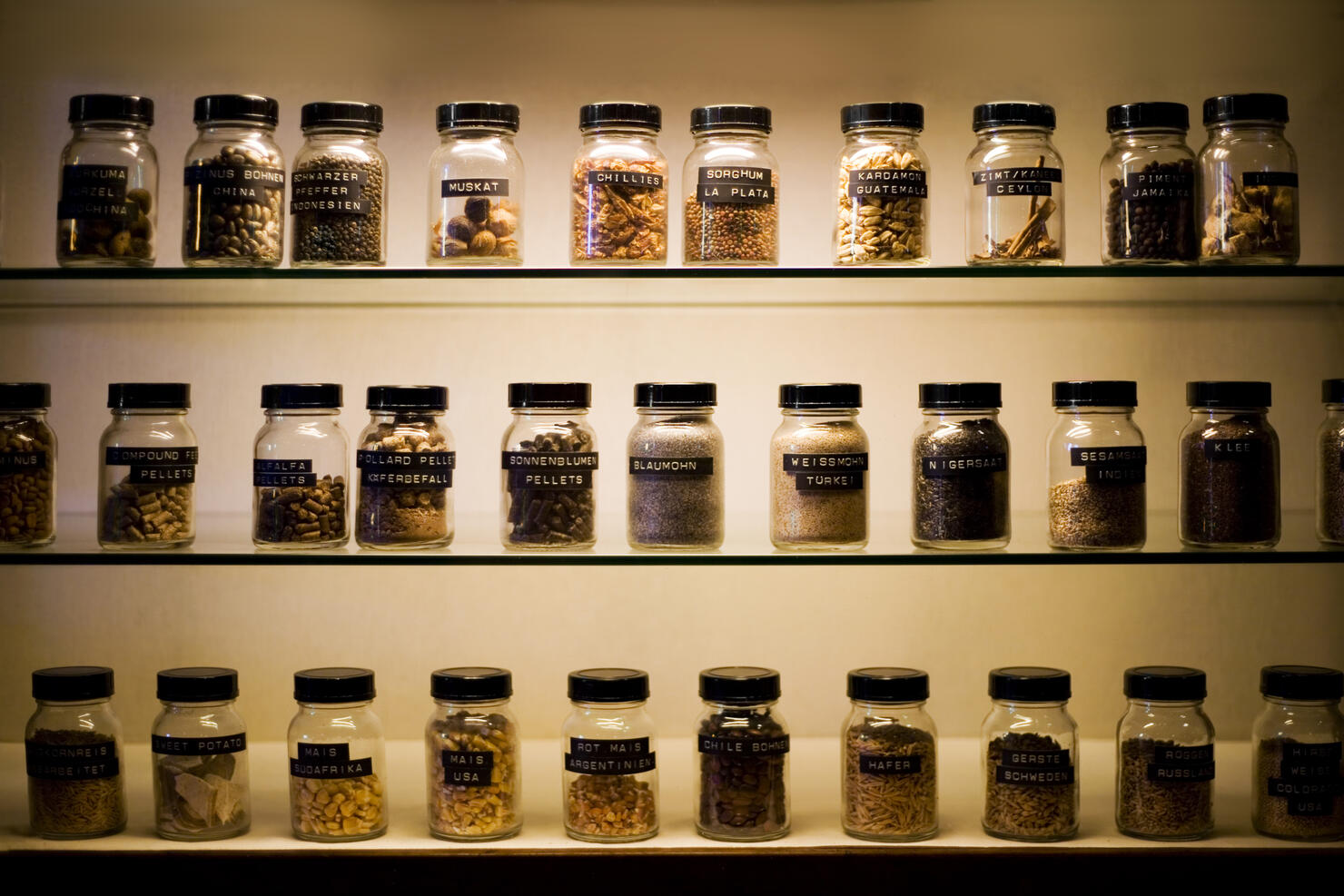 Shelves with labeled jars of exotic spices