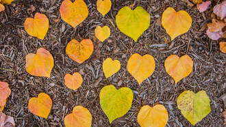 3 Washington Spots Among The Best In The State To See Fall Foliage